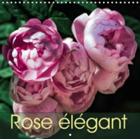 Rose Elegant 2018