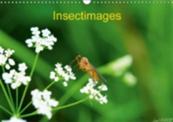 Insectimages 2018
