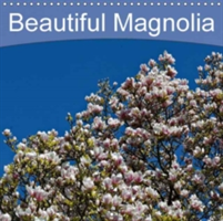 Beautiful Magnolia 2018