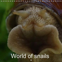World of Snails 2018