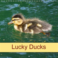 Lucky Ducks 2018