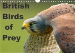 British Birds of Prey 2018