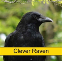 Clever Raven 2018