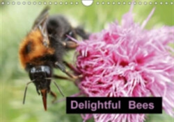 Delightful Bees 2018