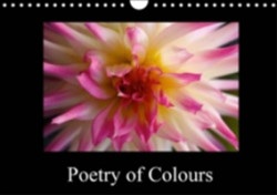 Poetry of Colours 2018