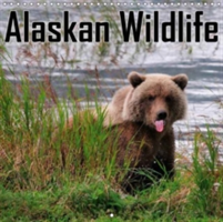 Alaskan Wildlife 2018
