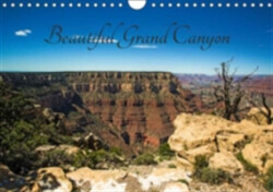 Beautiful Grand Canyon 2018