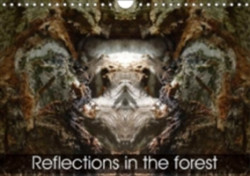 Reflections in the Forest 2018