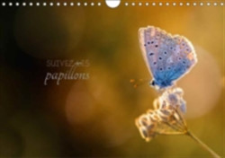 Suivez Les Papillons 2018