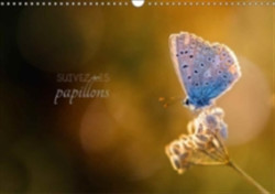 Suivez Les Papillons 2018