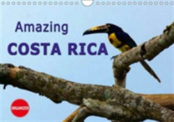 Amazing Costa Rica 2018