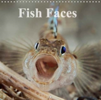 Fish Faces 2018