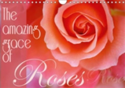 Amazing Grace of Roses 2018