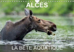 Alces - La Bete Aquatique 2018