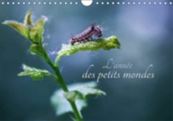 L'Annee Des Petits Mondes 2018