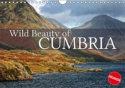 Wild Beauty of Cumbria 2018