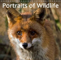 Portraits of Wildlife 2018