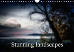 Stunning Landscapes 2018