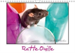 Ratte Ouille 2018