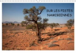 Sur Les Pistes Namibiennes 2018