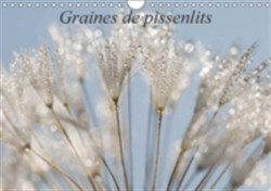 Graines De Pissenlits 2018