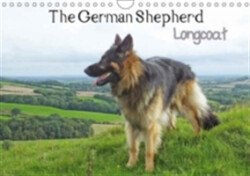 German Shepherd Longcoat 2018