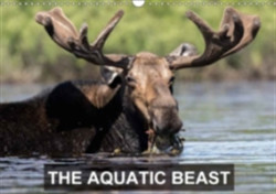 Aquatic Beast 2018