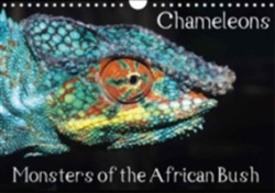 Chameleons Monsters of the African Bush 2018