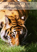 Wildlife in the African Savannah 2018