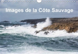 Images De La Cote Sauvage 2018