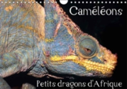 Cameleons - Petits Dragons D'afrique. 2018