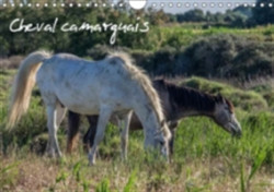 Cheval Camarguais 2018