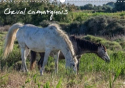 Cheval Camarguais 2018