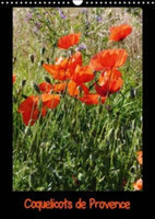 Coquelicots De Provence 2018