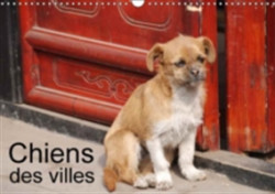 Chiens Des Villes 2018