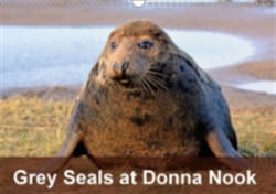 Grey Seals at Donna Nook 2018