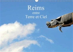 Reims Entre Terre Et Ciel 2018