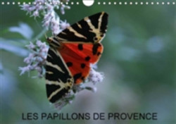 Papillons De Provence 2018