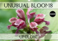 Unusual Blooms Up Close 2018