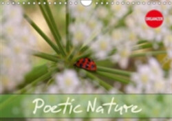 Poetic Nature 2018