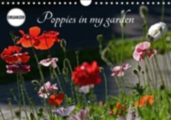 Poppies in My Garden 2018