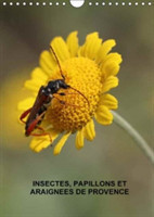 Insectes, Papillons Et Araignees De Provence 2018