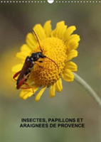 Insectes, Papillons Et Araignees De Provence 2018