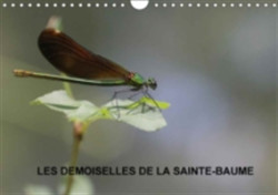 Demoiselles De La Sainte-Baume 2018