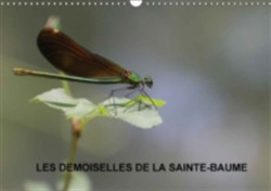 Demoiselles De La Sainte-Baume 2018