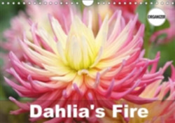 Dahlia's Fire 2018