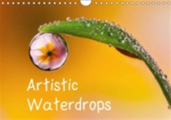 Artistic Waterdrops 2018
