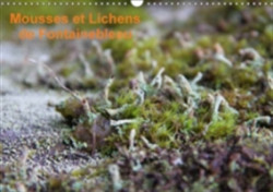 Mousses Et Lichens De Fontainebleau 2018