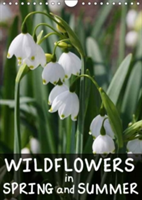 Wildflowers in Spring and Summer 2018