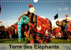 Terre Des Elephants 2018